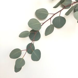 Meet your Posher, Storm